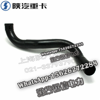 SHACMAN F3000 NEW M3000X3000 Down pipe DZ96259534065 