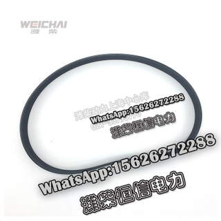 Weichai Diesel fan belt power pump multi-ribbed belt 612600061361 