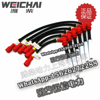 Weichai Power natural gas gas machine high voltage line 612600190800 
