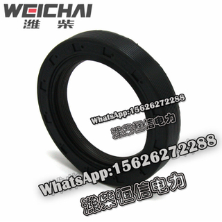 Weichai Dedicated front oil seal 2021995 