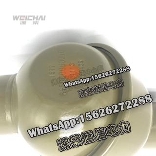 Weichai Thermostat loader external thermostat 615G00060016 