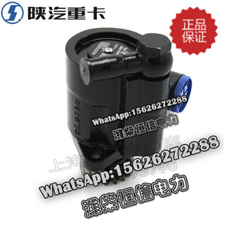 SHACMAN F3000 NEW M3000X3000 Steering pump DZ9100130011 