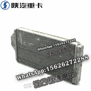 SHACMAN NEW X3000F3000 NEW M3000 Warm air core assembly DZ14251841102 