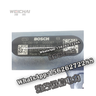 Weichai High pressure common rail Bosch common rail 612630080038 