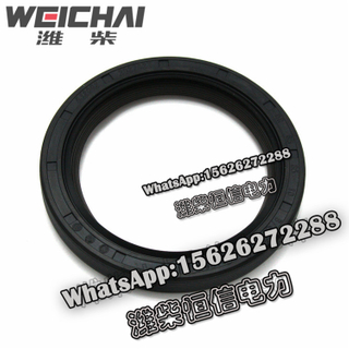 Weichai crankshaft front oil seal 2027523 