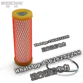 Weichai gas filter cartridge 612600190993 