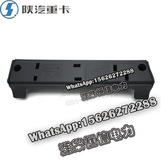 SHACMAN F3000 NEW M3000X3000 Left and right door guards DZ13241330130 
