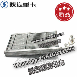SHACMAN F3000 NEW M3000X3000 Evaporator assembly DZ14251841101 