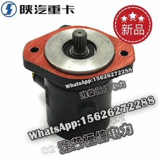 SHACMAN F3000 NEW M3000X3000 Steering pump DZ93319130002 