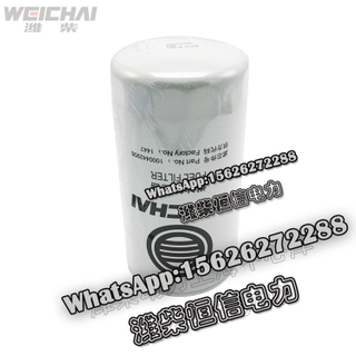 Weichai Steyr diesel filter 1000442956 spare parts 