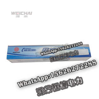 Weichai fuel injection pump nozzle oil head power channel Yates injector 12270162 