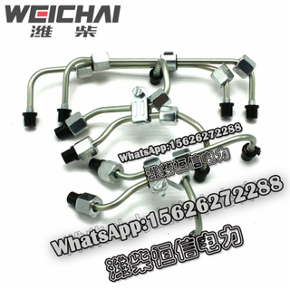 Weichai high pressure oil pipe assembly Z20200030 