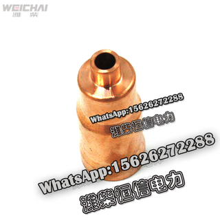 Weichai Injector bushing for power accessories 610800040028 