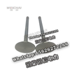 Weichai Deutz valve Deutz intake and exhaust valves 12159608 