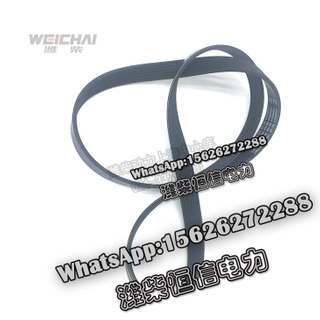 Weichai EFI common rail parts multi-ribbed belt 612630060011 
