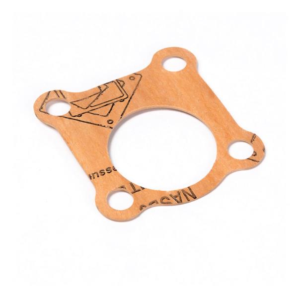 Perkins Timing case blanking plate gasket 165996560 For Diesel engine