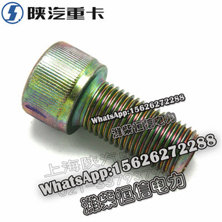 SHACMAN F3000 NEW M3000X3000 Socket head cap screws 06.02099.0211 