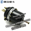 SHACMAN F3000 NEW M3000X3000 Diaphragm spring brake chamber DZ95189363001 