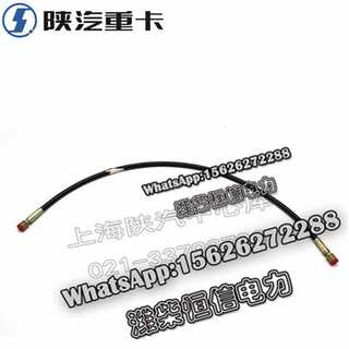 SHACMAN F3000 NEW M3000X3000 Cab lift tubing DZ93259820040 