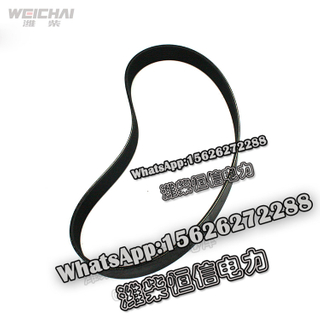 Weichai V-ribbed belt 612600061995 