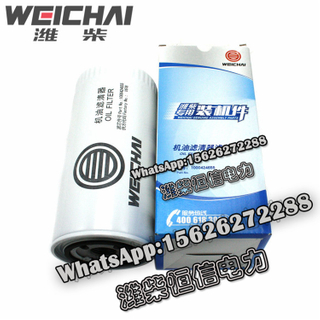 Weichai Oil filter filter machine oil grid 1000424655 spare parts 