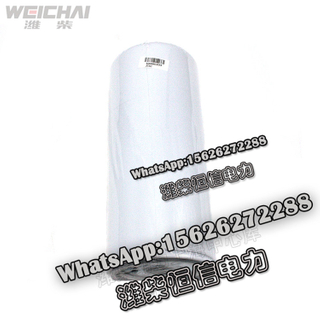 Weichai Fuel fine filter 1000053555 