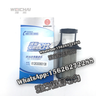 Weichai oil and gas separator filter for accessories 612630060138 
