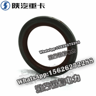 SHACMAN F3000 NEW M3000X3000 Oil seal DZ9112320185 