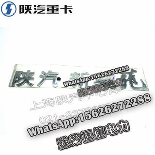 SHACMAN F3000X3000 NEW M3000 New signage DZ11241950006 