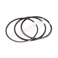 Yuchai Piston ring assembly (12 pieces) F3000-1004002A Spare parts