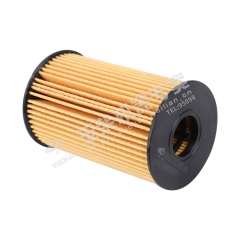 Yuchai Oil filter core YG200-1012243B-244 Spare parts