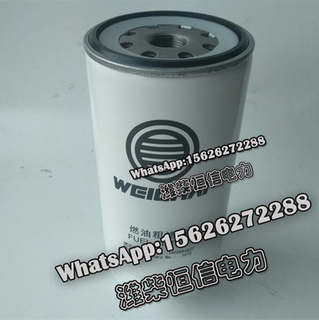 Weichai fuel coarse filter 1000964807 spare parts 