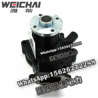 Weichai water pump 2105060132 
