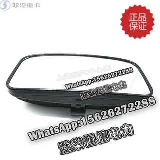 SHACMAN Rear view mirror left and right DZ1600770231 