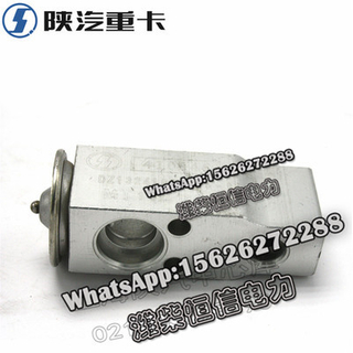 SHACMAN Expansion valve DZ13241821115-L 