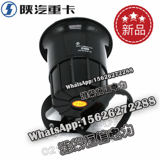 SHACMAN F3000M3000X3000 Voice prompter DZ91189583122 