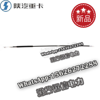 SHACMAN NEW M3000 Locking the left and right doors DZ15221340028 