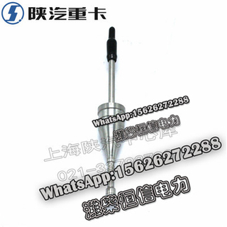 SHACMAN X3000 NEW M3000F3000 Weifu Lida nozzle DZ95259740701 