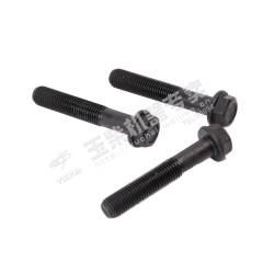 Yuchai Connecting rod bolt F3000-1004204A Spare parts