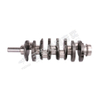 Yuchai Crankshaft B8800-1005001B Spare parts