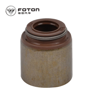 Foton Cummins  Veichle Engine exhaust valve 4948506 