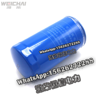 Weichai Steyr diesel filter 612600081334A 