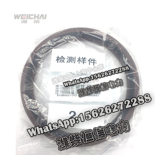 Weichai front and rear oil seal crankshaft rear oil seal 610800010027 