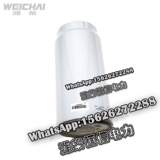 Weichai Fuel coarse filter 1000053557 