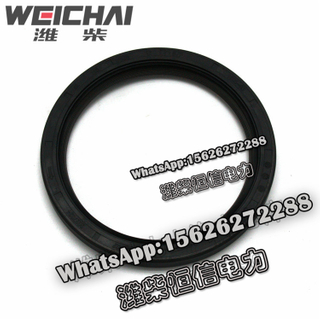 Weichai crankshaft rear oil seal 2027524 