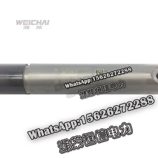 Weichai injection pump nozzle oil head high pressure oil pump injector 61560080276 