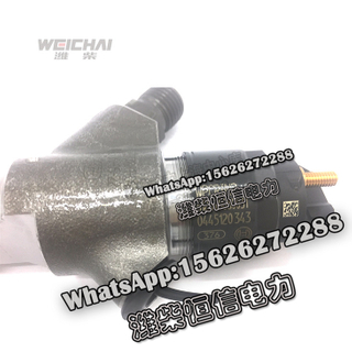 Weichai fuel injection pump nozzle common rail pump injector 612640080031 