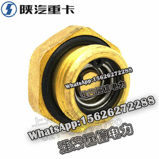 SHACMAN F3000X3000 NEW M3000 Drain valve 81.51260.6054 