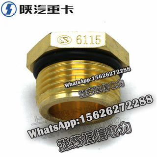 SHACMAN F3000 NEW M3000X3000 Hex connector 81.98181.6115 