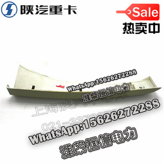 SHACMAN F3000 NEW M3000X3000 Left and right decorative panels DZ13241240424 